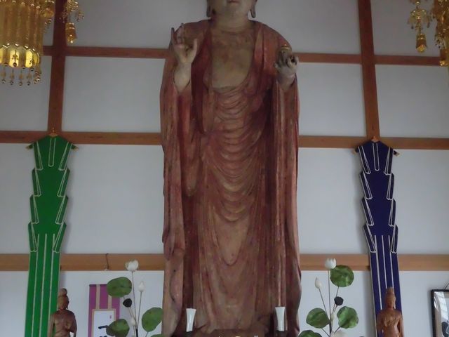 dai-neko̖EZt̓eʐ^1