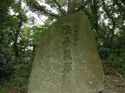 dai-neko̗L˂̓eʐ^1