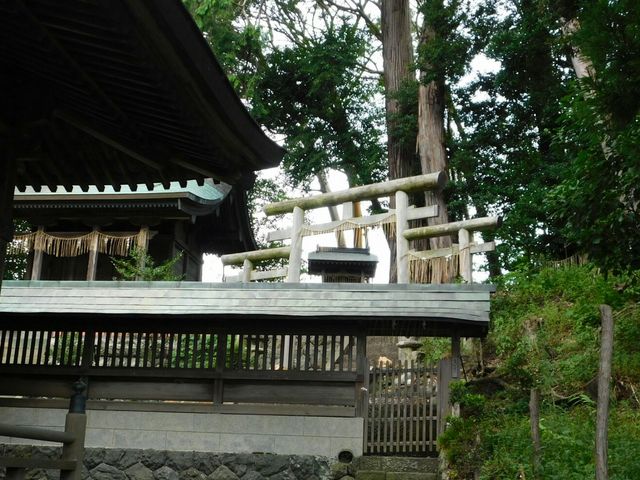 �O�֒����i�O�c�����j_�_�_��