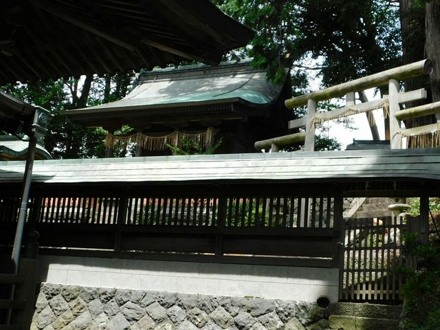 �{�a�ƎO�֒���_�_�_��