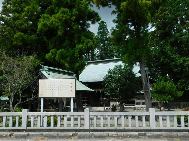 �����S�i_�_�_��