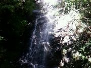 ������̓ߒq�̑�̓��e�ʐ^1