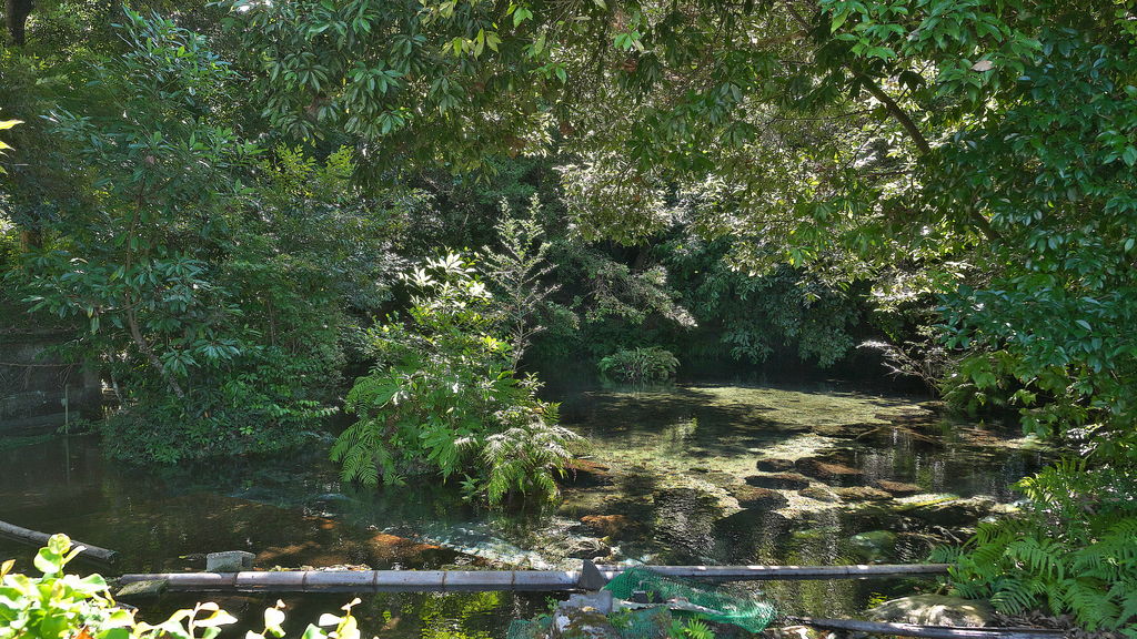 View from clear creeks 澄んだ小川の景色 絵画/タペストリ 美術品 おもちゃ・ホビー・グッズ セール卸売り