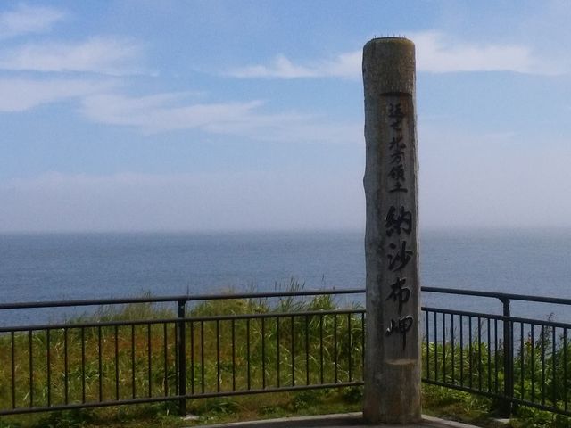 �������܂����B_�[���z��