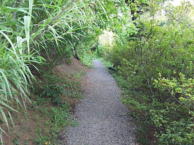 �U���H_�Ԍ��R����