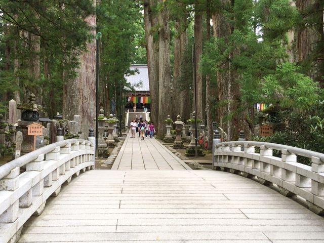 ���̋������͎B�e�֎~�ł�_���V�@