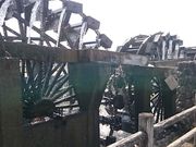 񂿂񂳂̐HH[ JlL`̓eʐ^1