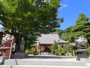 �}�C�a�n�n����̌��ю��̓��e�ʐ^1