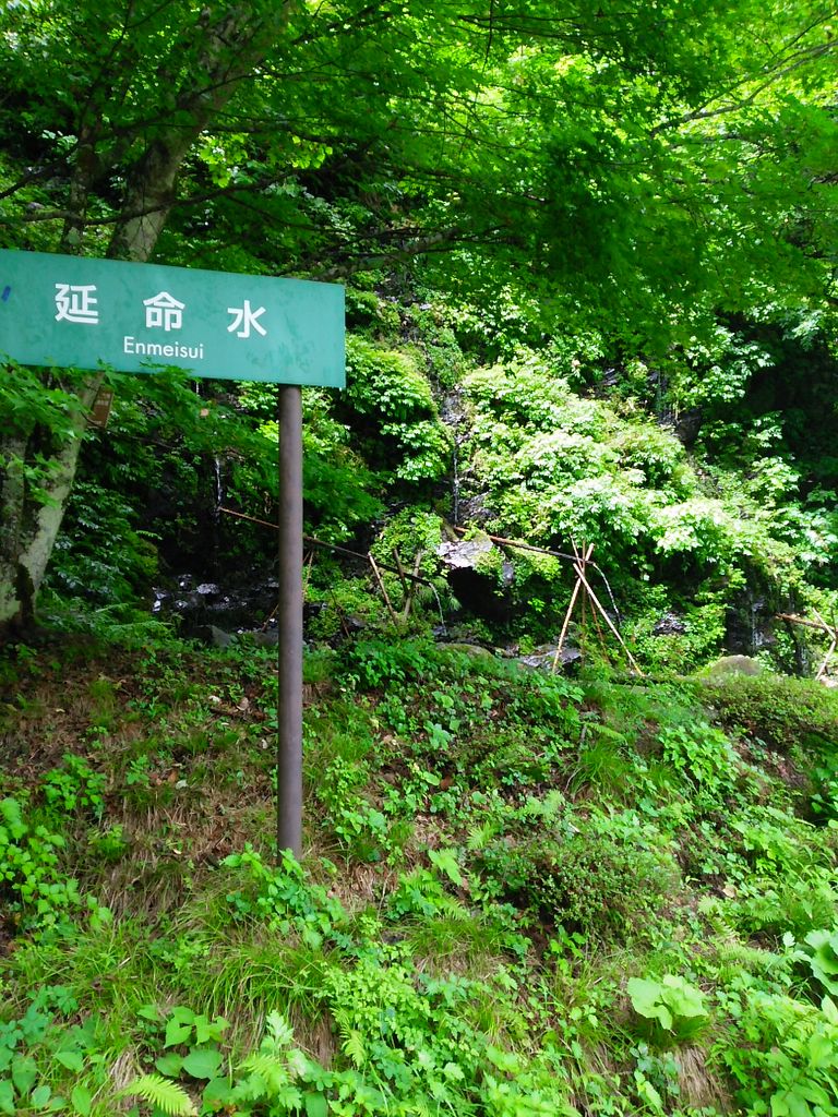 ★ぬ 目で見る安曇の100年 / 大町市 北安曇郡 南安曇郡 / 郷土出版社 ぬ 目で見る安曇の100年 / 大町市 北安曇郡 南安曇郡 / 郷土出版社