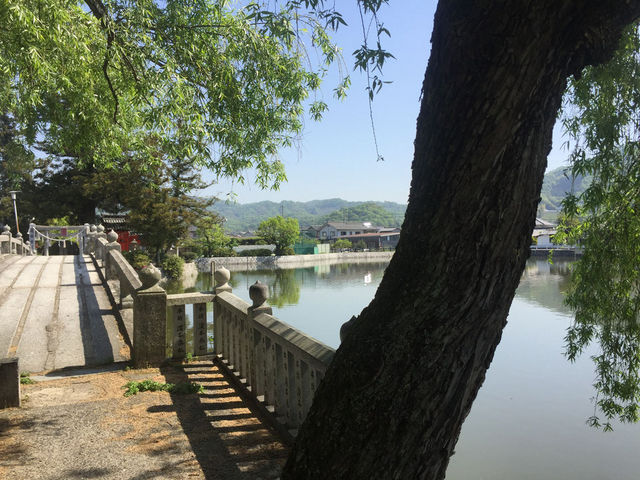 �c�ƃ}������̔����{�g���Ð_�Ђ̓��e�ʐ^1