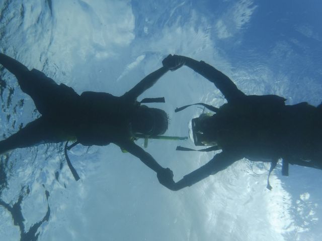 �F�B�ƈꏏ��_�G�R�T�[�t�@�[