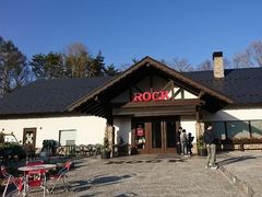 ǂ񂿂񂳂̖G؂̑ ROCKւ̓eʐ^1