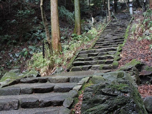 Yanwenli����̌��Z���̓��e�ʐ^1