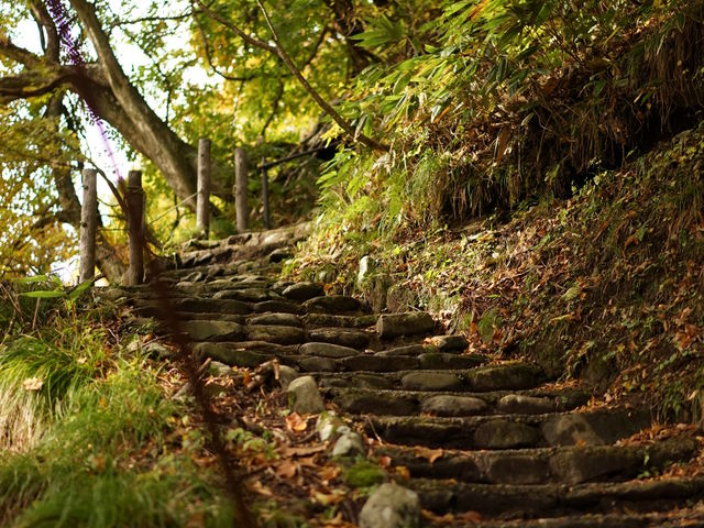 �k����p�̎��V���͍g�t�̎������������Ƃ�����A����튴�����Ă��܂����B_�匹����