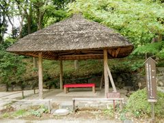 �͂��񂳂�̊ۉ��i���ΐ��y���j�ւ̓��e�ʐ^1