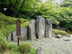 ͂񂳂̛iΐyjւ̓eʐ^1