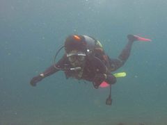 bV[̈ɓ_CrOXN[ gbcւ̓eʐ^1