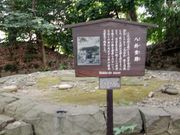 ͂񂳂̔TՁiΐyj̓eʐ^1