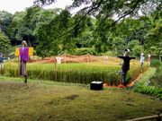 ͂񂳂̓c[iΐyj̓eʐ^1