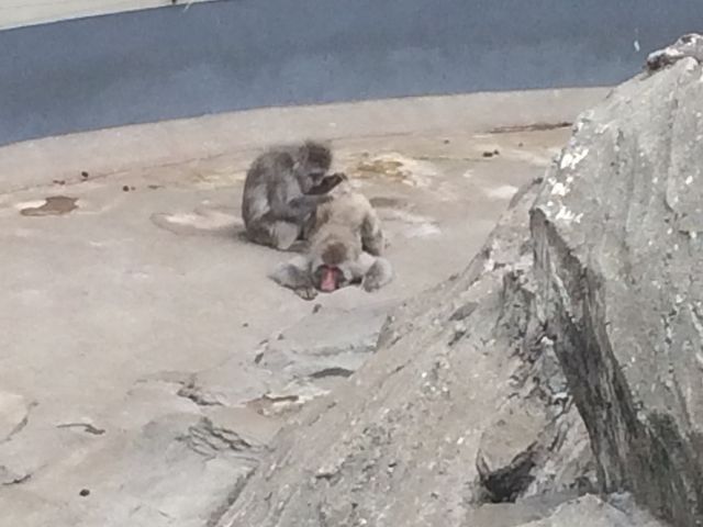 ��_��쓮���� �T���R