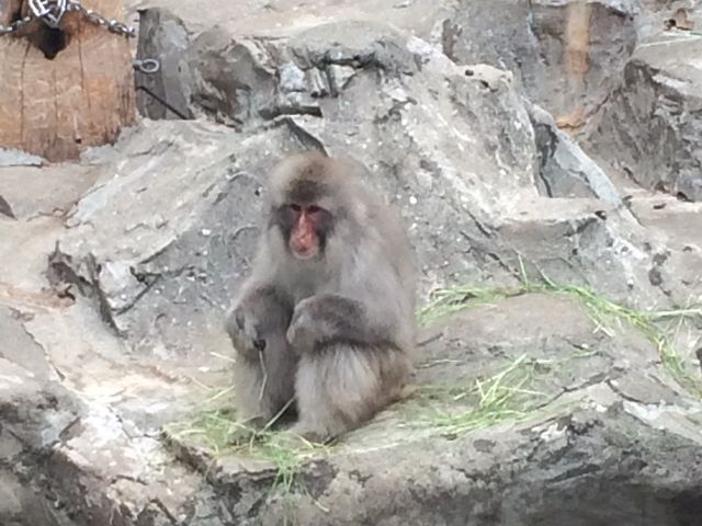 ��_��쓮���� �T���R