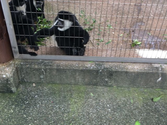 �e�i�K�U��_��쓮���� �T���R