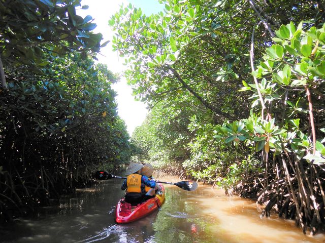 �q���M(�}���O���[�u)�т̎x��_���΂�G�R�t�B�[���h�@����