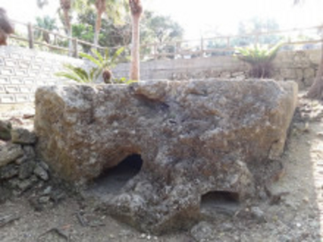 �g�[�`�J_�Ð��������