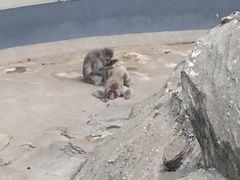 ܂񂳂̏쓮 TRւ̓eʐ^1