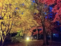 見晴公園 香雪園 の口コミ一覧 じゃらんnet