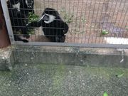 ܂񂳂̏쓮 TR̓eʐ^3