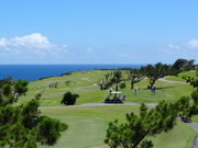 SHIÑUETUNXStNu̓eʐ^1