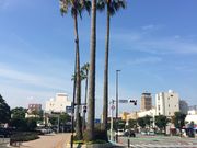 ܂񂳂̐S喴cw̓eʐ^1