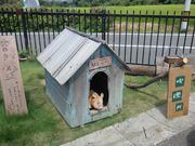 ۂۂ̓̉w ͂₠̓eʐ^2