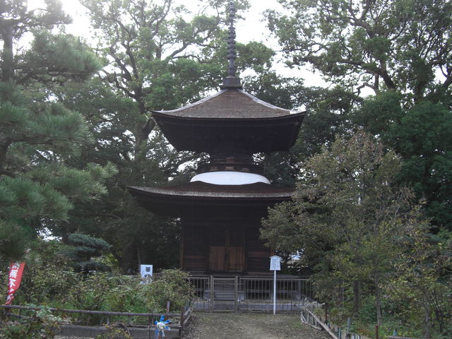 ߂ڂڂ̑󓃁iݓj̓eʐ^1