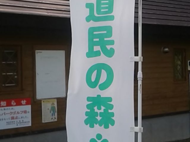 �Ђ�[�[�[���I_�����̐X