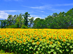 ̎Rt[Z^[EnCW̑ւ̓eʐ^1