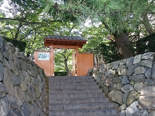 ���쑤�̓���_���q��뉀