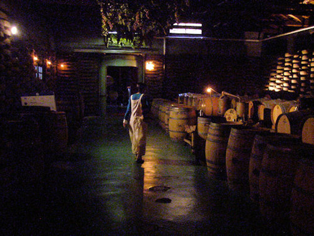 �O���̐����s���͎B�e�m�f�A�㔼�͂n�j_�����f��