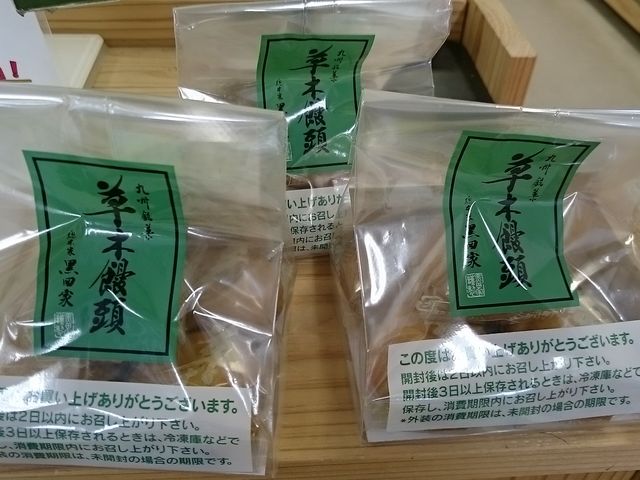 Xkv̑{ƍcƁ@{X̓eʐ^1