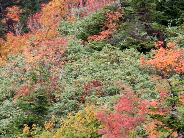 ���J�n�t�߂̍g�t_������