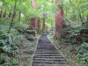 yosshỷHR̐؂̓eʐ^4