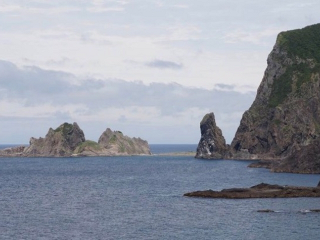 ��i_���̉͌�