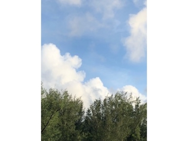 �C��������_��q�ʐ����