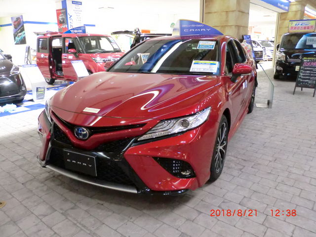 �J�����ł���_�g���b�T���l