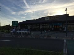 [̉BXp[LOGAijւ̓eʐ^1