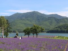 񂳂̂Ȃ܌΂ւ̓eʐ^1