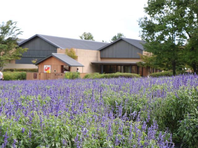 E102̈ܖ삿Ђ Ԓd̓eʐ^1