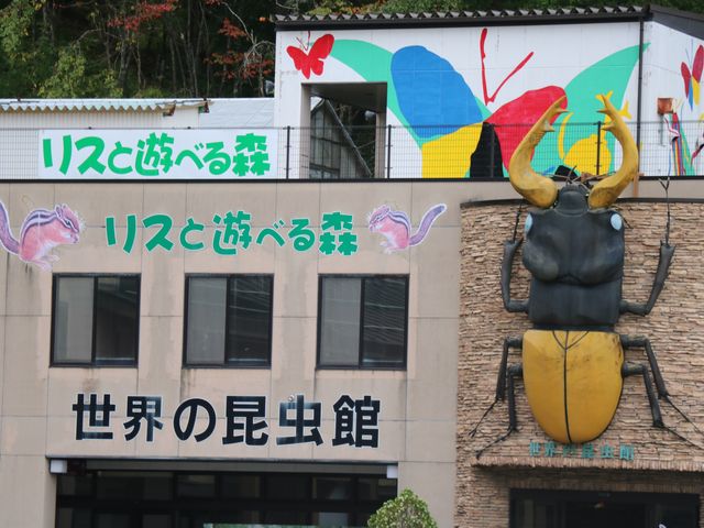 ���E�̍�����_��ˍ��R�E�܂�̐X