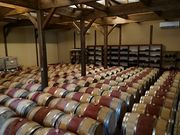 ݂Ȃ݂񂳂̈ܖ샏Ci[̓eʐ^1